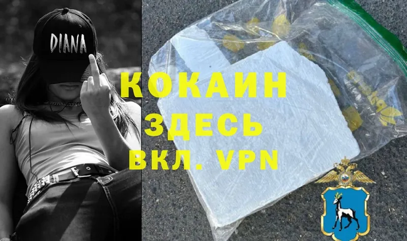 COCAIN Fish Scale  сколько стоит  Ирбит 